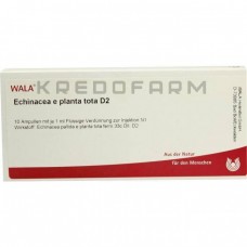 Ехінацея ● Echinacea