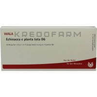 Эхинацея ● Echinacea