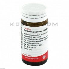 Ехінацея ● Echinacea