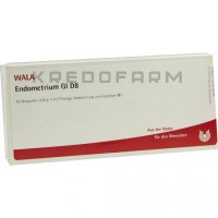 Ендометріум ● Endometrium