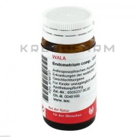 Ендометріум ● Endometrium