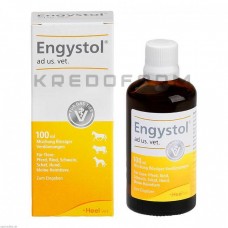 Енгістол ● Engystol