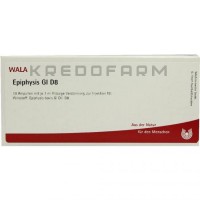 Эпифизис ● Epiphysis