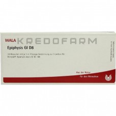 Епіфізис ● Epiphysis