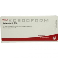 Эпифизис ● Epiphysis