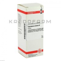 Эквизетум Арвенсе ● Equisetum Arvense