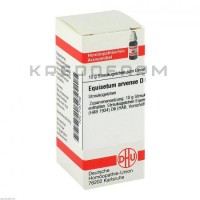 Эквизетум Арвенсе ● Equisetum Arvense