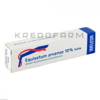 Эквизетум Арвенсе ● Equisetum Arvense