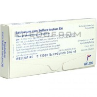 Эквизетум Кум ● Equisetum Cum