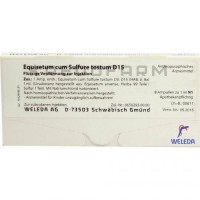 Эквизетум Кум ● Equisetum Cum