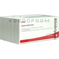 Эквизетум Формика ● Equisetum Formica