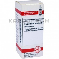 Еквізетум Хімале ● Equisetum Hiemale