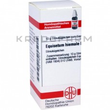 Еквізетум Хімале ● Equisetum Hiemale