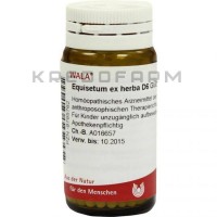 Эквизетум ● Equisetum