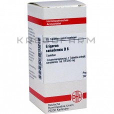 Еригерон Канаденсис ● Erigeron Canadensis