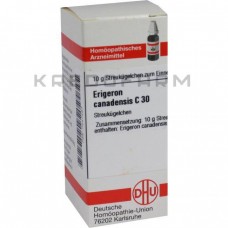 Еригерон Канаденсис ● Erigeron Canadensis