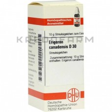 Еригерон Канаденсис ● Erigeron Canadensis