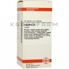 Еспелетія ● Espeletia