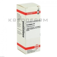 Эвкалиптус ● Eucalyptus