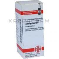 Эвкалиптус ● Eucalyptus