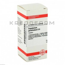 Євпаторіум Перфоліатум ● Eupatorium Perfoliatum