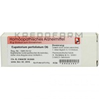 Евпаториум Перфолиатум ● Eupatorium Perfoliatum