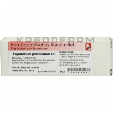 Євпаторіум Перфоліатум ● Eupatorium Perfoliatum