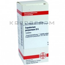 Євпаторіум Пурпуреум ● Eupatorium Purpureum