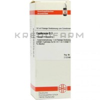 Эуфразия ● Euphrasia