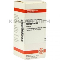 Фагопирум ● Fagopyrum