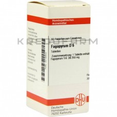 Фагопірум ● Fagopyrum