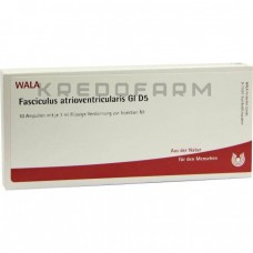 Фасцикулюс ● Fasciculus