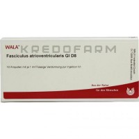 Фасцикулюс ● Fasciculus