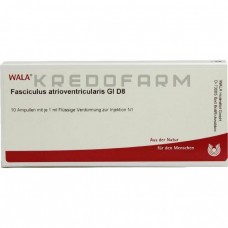 Фасцикулюс ● Fasciculus