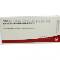 Фасцикулюс ● Fasciculus