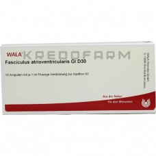 Фасцикулюс ● Fasciculus