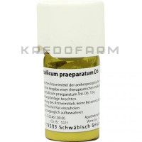 Феррум Металікум ● Ferrum Metallicum