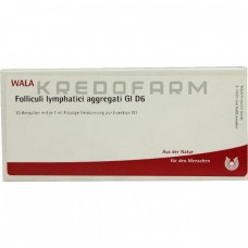 Фолікули Лімфатиці ● Folliculi Lymphatici