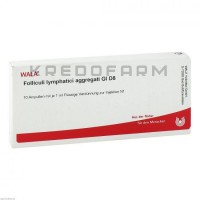 Фолликули Лимфатици ● Folliculi Lymphatici