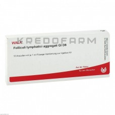 Фолікули Лімфатиці ● Folliculi Lymphatici