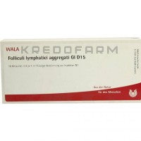 Фолликули Лимфатици ● Folliculi Lymphatici