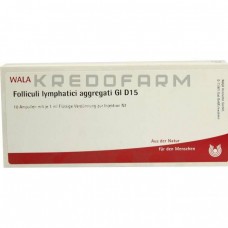 Фолікули Лімфатиці ● Folliculi Lymphatici