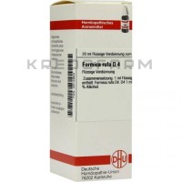 Формика Руфа ● Formica Rufa