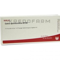 Галеа ● Galea