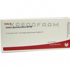 Галеа ● Galea