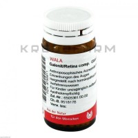 Галеніт ● Galenit