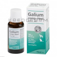 Галіум Комп ● Galium Comp