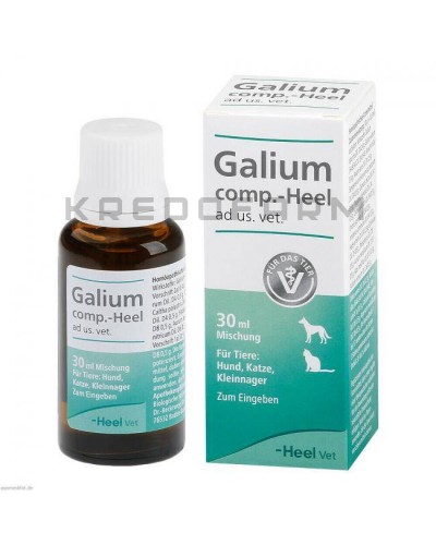 Галіум Комп краплі ● Galium Comp