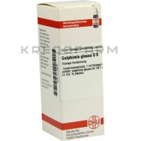 Галфимия Глаука ● Galphimia Glauca