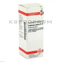 Галфимия Глаука ● Galphimia Glauca